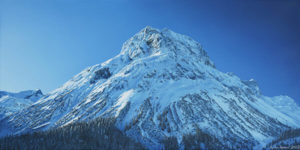 Adam Attew © 'Omeshorn'