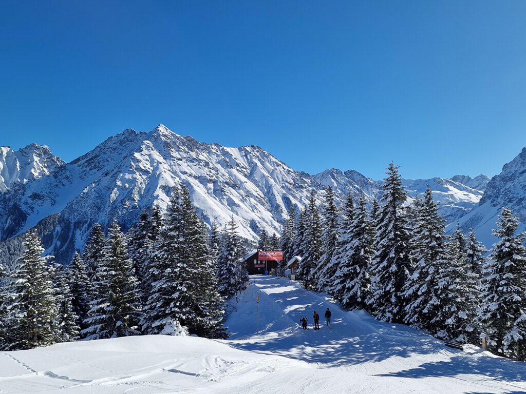 Brand Skiing 002