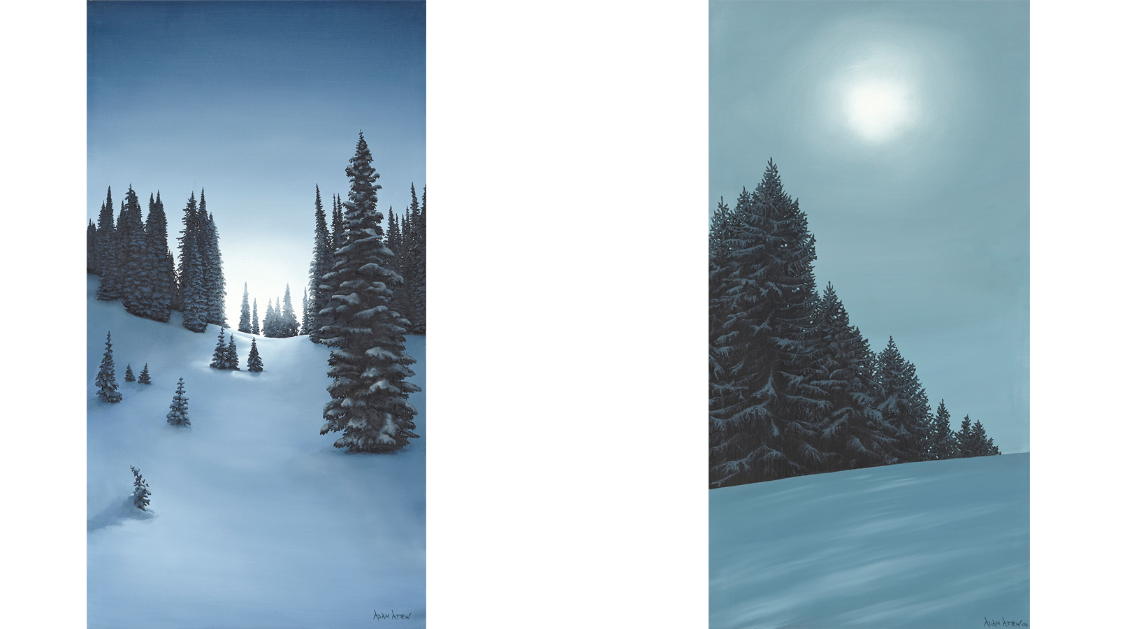 K3 Cat Ski & Les Gets - PHONE WWW