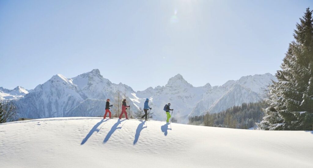 Brand Skiing 002