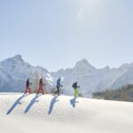 Brand Skiing 002