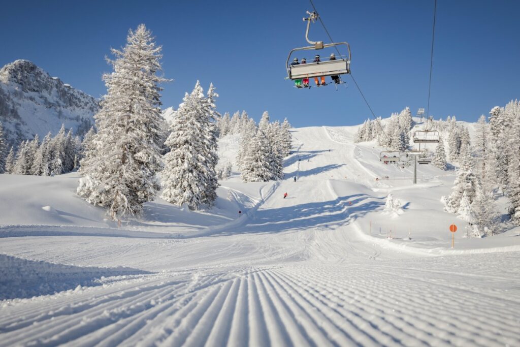 Brand Skiing 002